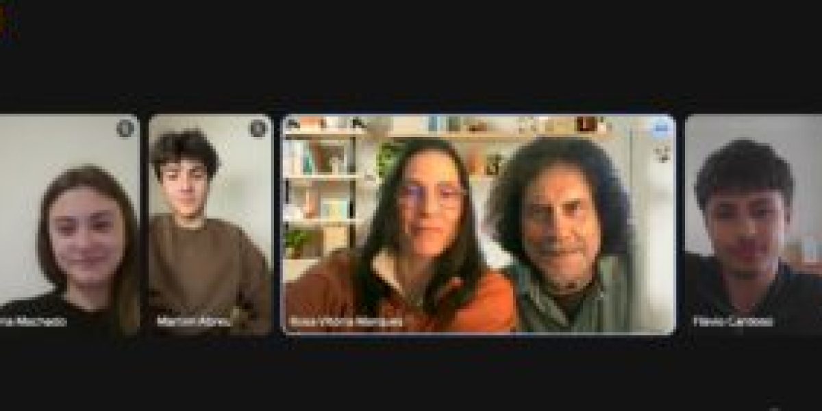 2nd online working meeting, Sustainable Solutions