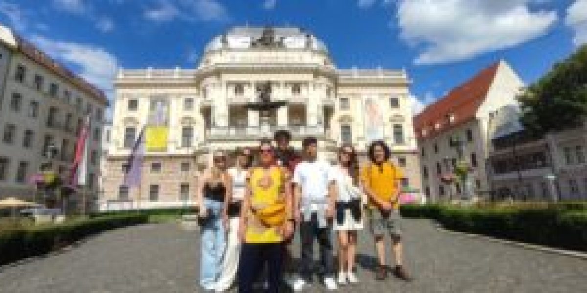 Sustainable Solution on Bratislava