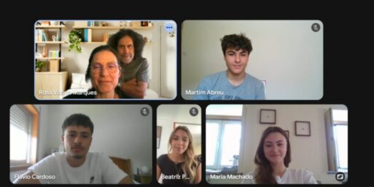 4th online working meeting of the Sustainable Solutions group