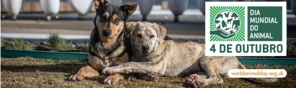 Dia Mundial do Animal |A day for animal lovers  worldwide