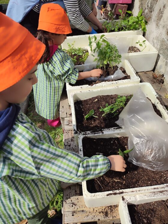 Eco-Escolas em ação no JI de Bairro