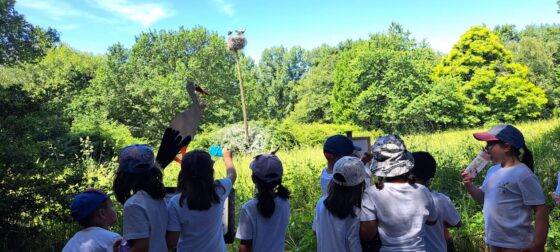 Alunos do JI e da EB Bairro visitam o Parque Biológico de Gaia