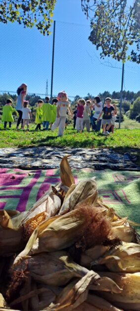 Festa de Outono: Jardim de Infância de Oliveira de S. Mateus volta a dar vida à tradicional Desfolhada