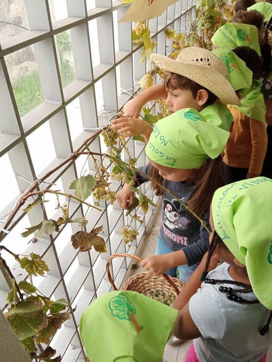 Jardim de Infância de Bairro viveu experiência muito especial