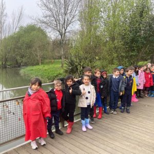 Alunos do 1.º ano da EB de Riba de Ave “Vão de galochas ao parque”