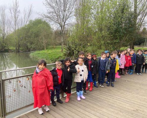 Alunos do 1.º ano da EB de Riba de Ave “Vão de galochas ao parque”