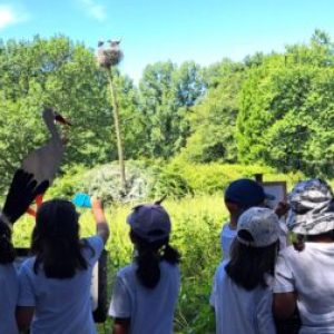 Alunos do JI e da EB Bairro visitam o Parque Biológico de Gaia