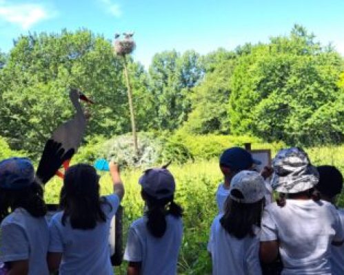 Alunos do JI e da EB Bairro visitam o Parque Biológico de Gaia