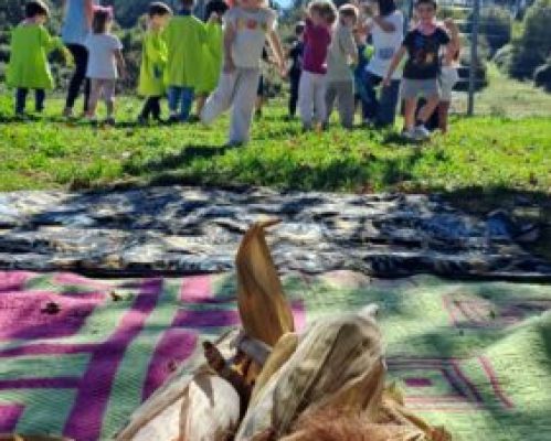 Festa de Outono: Jardim de Infância de Oliveira de S. Mateus volta a dar vida à tradicional Desfolhada