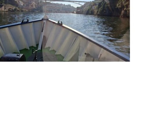Passeio Escolar pelo Rio Douro: Um Dia de Convívio e Descoberta