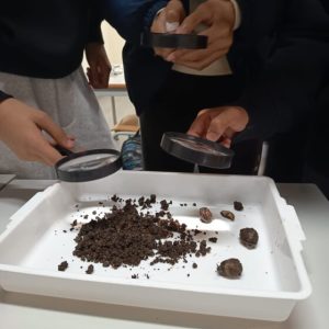 Workshop sobre a “Biodiversidade no solo” – 9.º