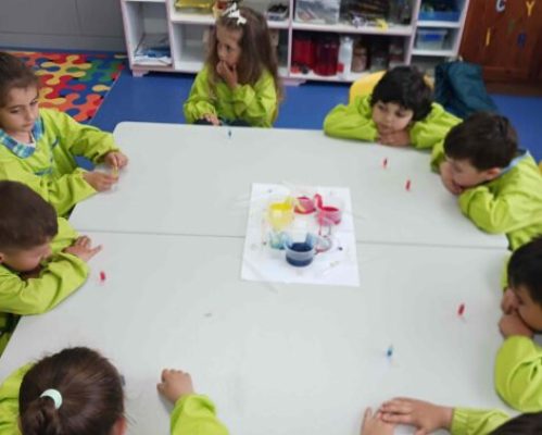 Pequenos Cientistas no JI6 de Oliveira de S. Mateus:“Laboratório da Água”