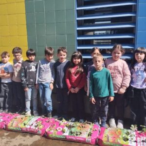 Alunos do 2.º ano da EB Bairro criam horta escolar