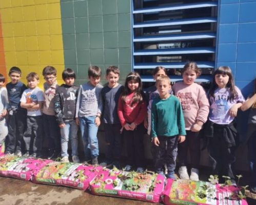 Alunos do 2.º ano da EB Bairro criam horta escolar