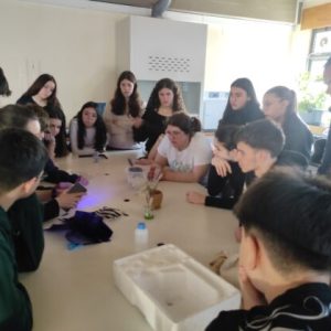EB Terras do Ave – Escolas sequestradoras de Carbono