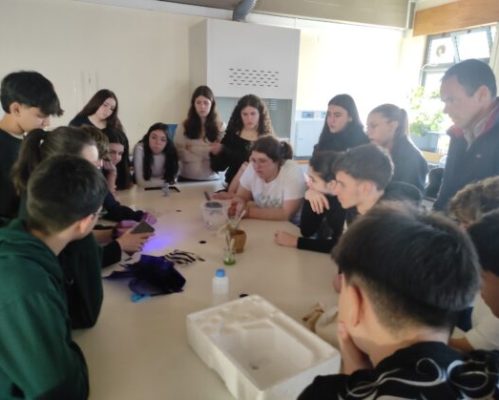 EB Terras do Ave – Escolas sequestradoras de Carbono