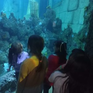 Visita de estudo Pavilhão Da Água e Sealife Porto – JI Bairro