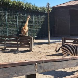 Visita de Estudo à Quinta das Anas – EB/JI de Riba de Ave