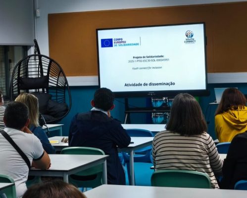 Projeto Youth Connect for Inclusion apresenta resultados