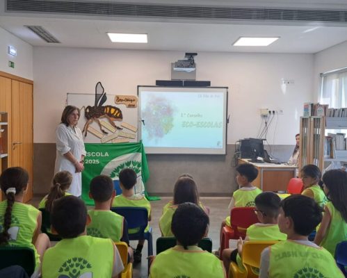 3.º conselho Eco Escolas na EB/JI de Riba de Ave