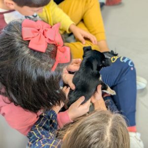 Dia Mundial do Animal celebrado com visita especial  da Associação Pets & Me à EB/JI de Ruivães 