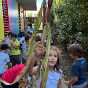Desfolhada na EB Bairro promove inclusão e preserva tradições