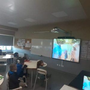 Hora do Conto nas Bibliotecas de Oliveira Santa Maria e de Ruivães