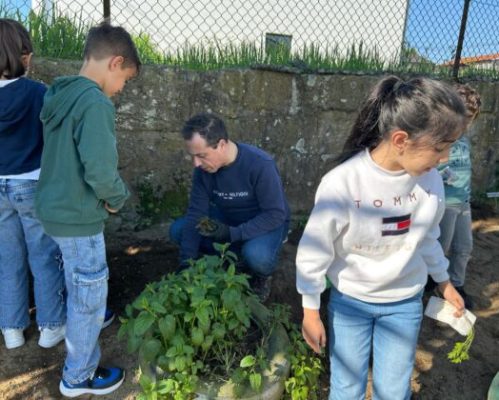 Construção da Horta Pedagógica: Um projeto de todos!