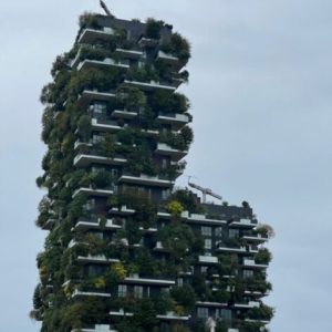 Milan, strategies for territorial sustainability