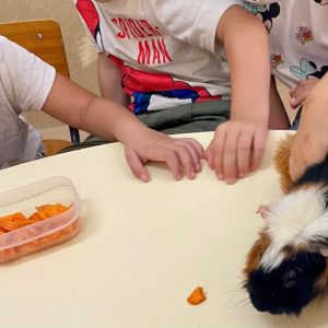 Os animais são nossos amigos [JI de Bente]