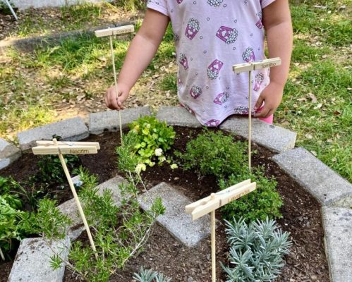 Espiral de Aromáticas | Eco-Escolas no JI de Bente