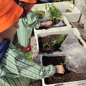 Eco-Escolas em ação no JI de Bairro