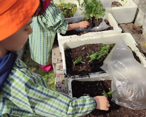 Eco-Escolas em ação no JI de Bairro