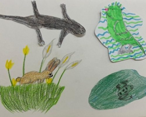 Biodiversidade no Parque da Devesa