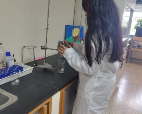 Rumo à Alemanha: O Projeto “She STEMs the Future” aposta na Inovação e Inclusão