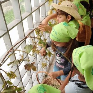 Jardim de Infância de Bairro viveu experiência muito especial