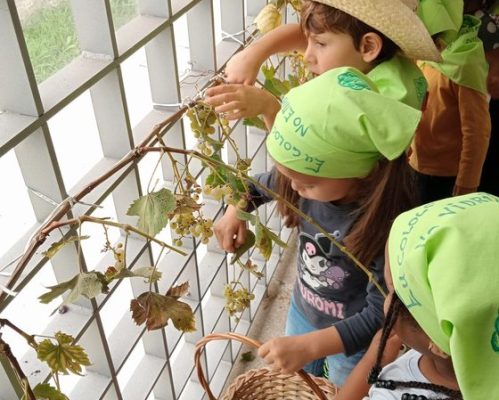Jardim de Infância de Bairro viveu experiência muito especial